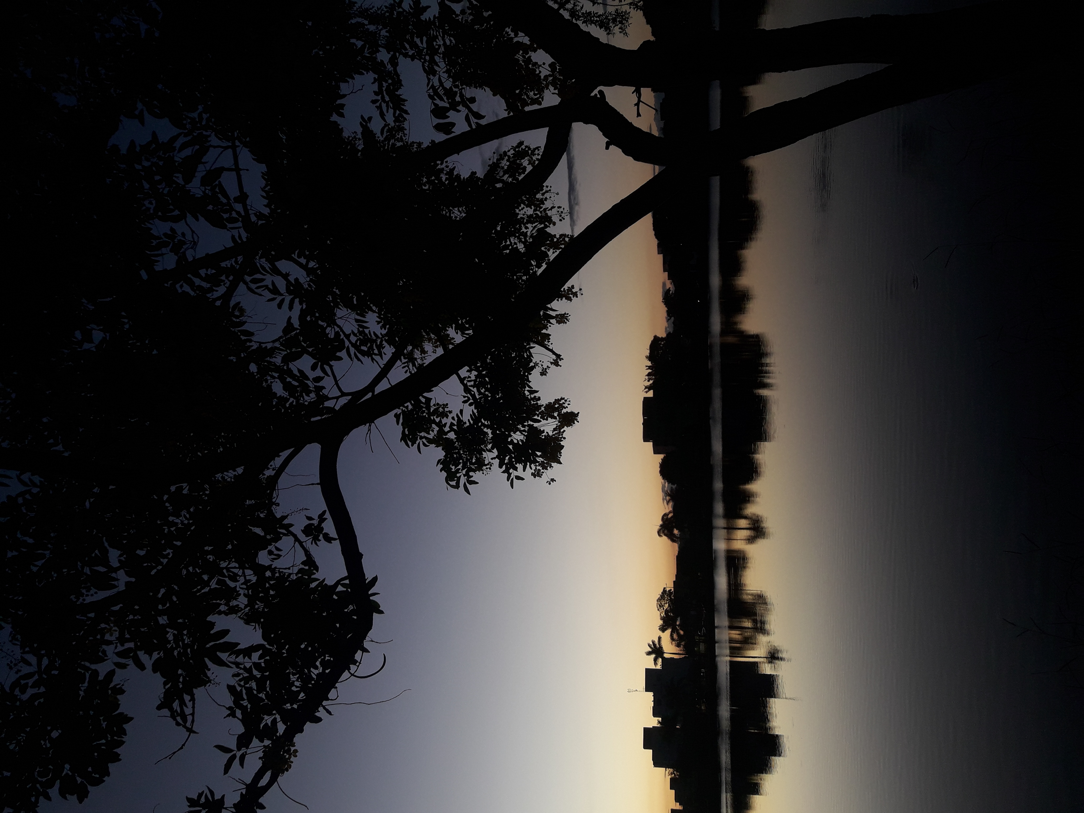 Cartório Guimarães